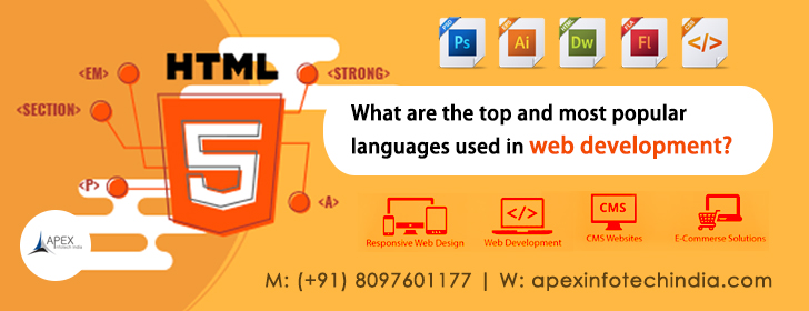 Top language web development