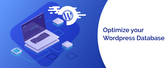 Optimize your Wordpress Database