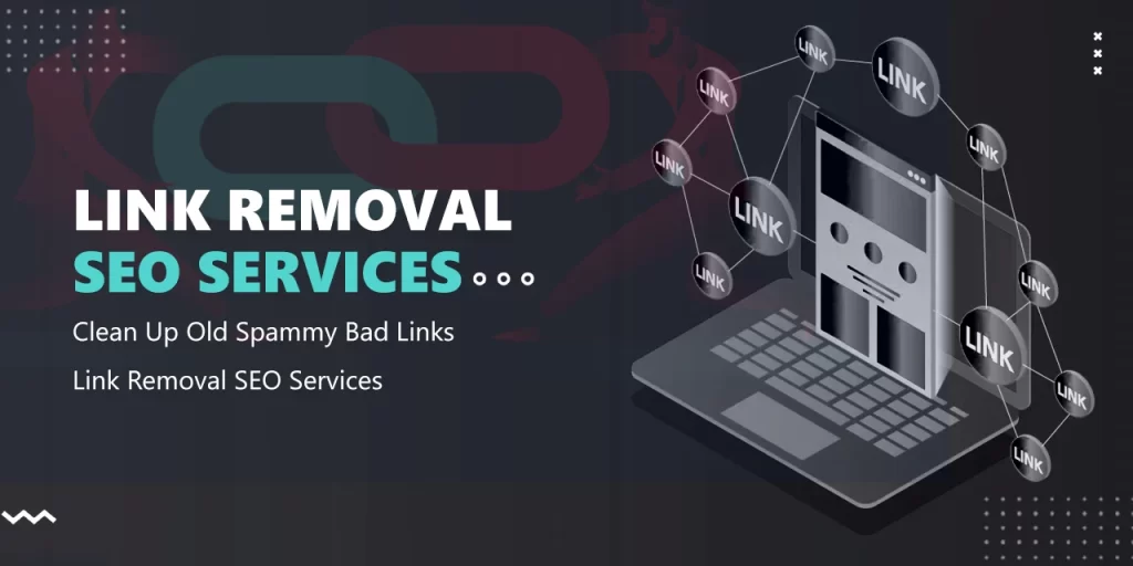 Link Removal SEO Services