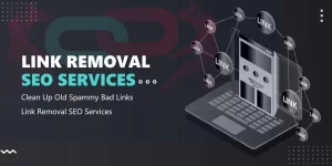 Link Removal Services