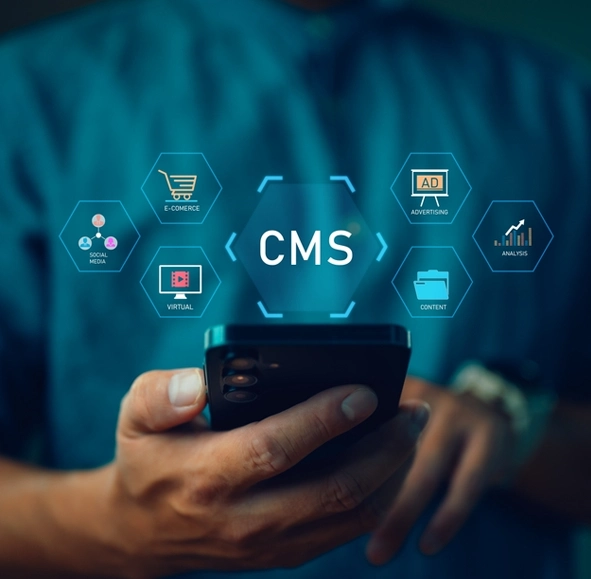 Importance of CMS Web Development