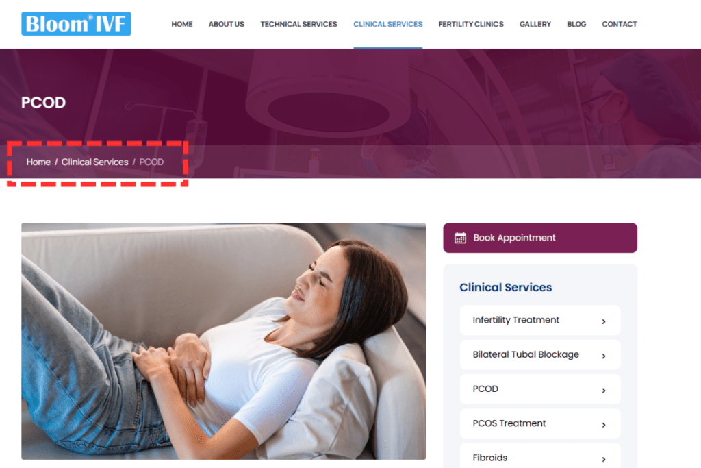 How Breadcrumbs Improve SEO and User Experience 3 Breadcrumbs image 1